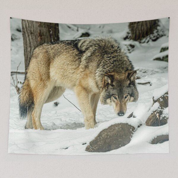 Artikelvorschau, Östlicher Grauwolf entworfen und verkauft von Michael Cummings.