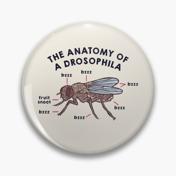 Item preview, The Anatomy of a Drosophila designed and sold by ToruandMidori.