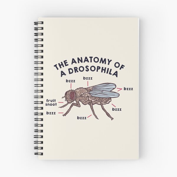 Item preview, The Anatomy of a Drosophila designed and sold by ToruandMidori.