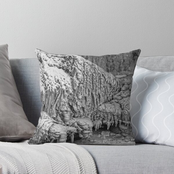 Item preview, A Bloody Cold Winter Day At Balls Falls - 6 ©  designed and sold by © Hany G. Jadaa © Prince John Photography.