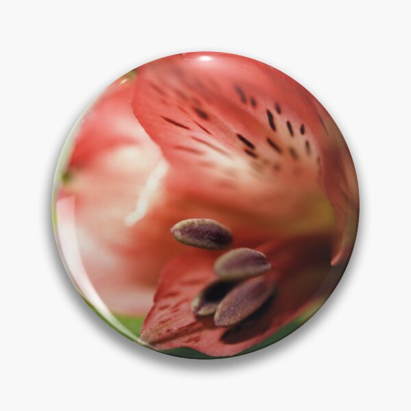 Item preview, Alstroemeria, Peruvian Lily designed and sold by imaginethis.