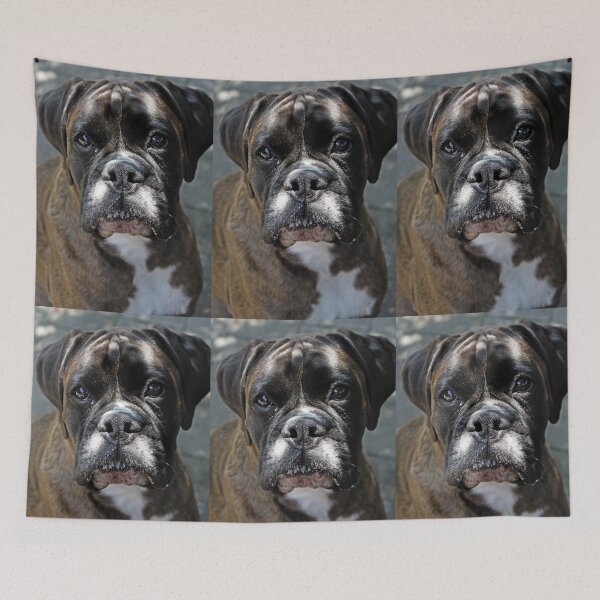 Item preview, Portrait Of A Female Boxer -Boxer Dogs Series- designed and sold by Evita.
