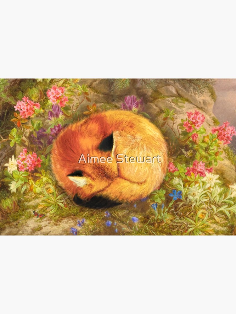 The Cozy Fox by Foxfires