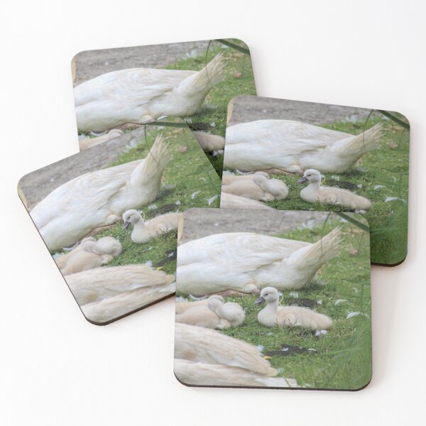 Item preview, Baby Swans designed and sold by OneCreativePup.