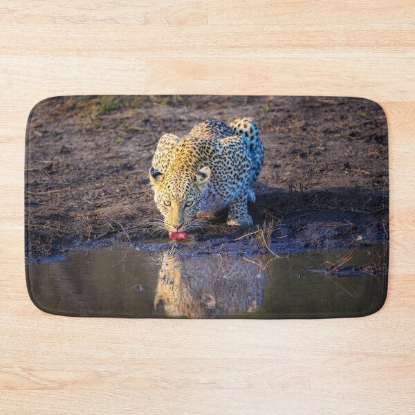 Item preview, Leopard (Panthera pardus) drinking designed and sold by Graham Prentice.