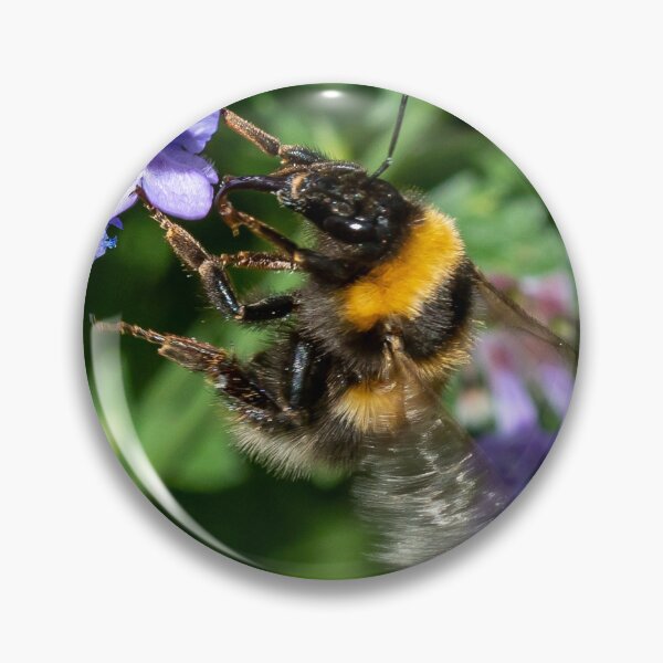 Item preview, Atareado como una abeja designed and sold by John Stoves.