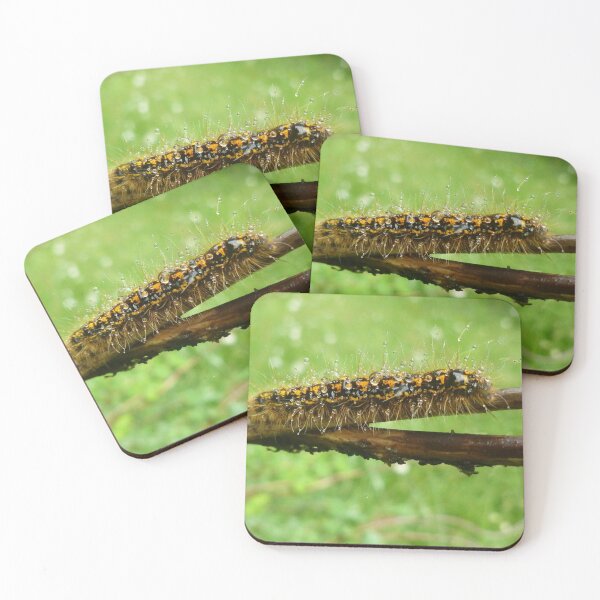 Item preview, Bejeweled with raindrops a caterpillar wears it's finest. designed and sold by Elaine Bawden.