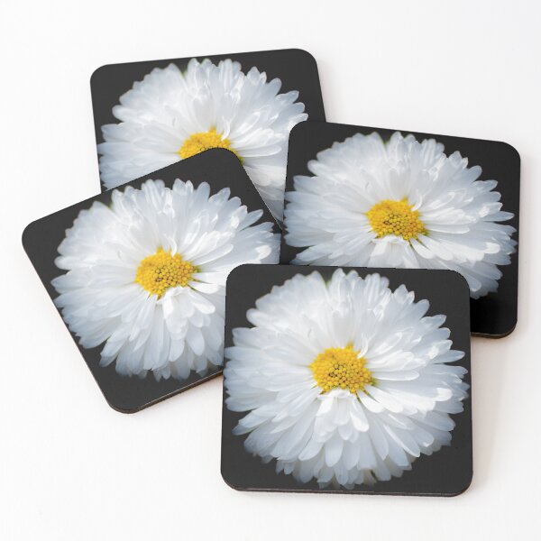 Item preview, Daisy designed and sold by John Stoves.