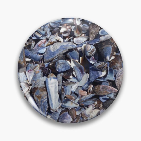 Item preview, A beach of black muscle shells and sea shells designed and sold by NJH110.