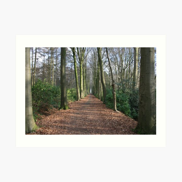 In Het Bos Art Print