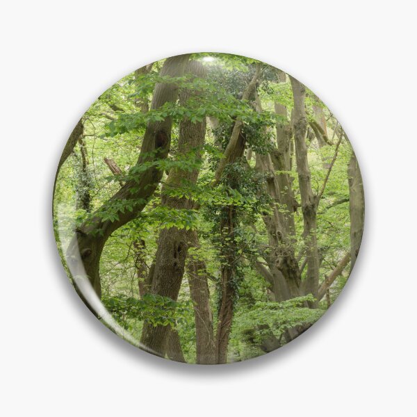 Item preview, Hatfield Forest spry trees (narrow leafed lime) designed and sold by ccullen222.