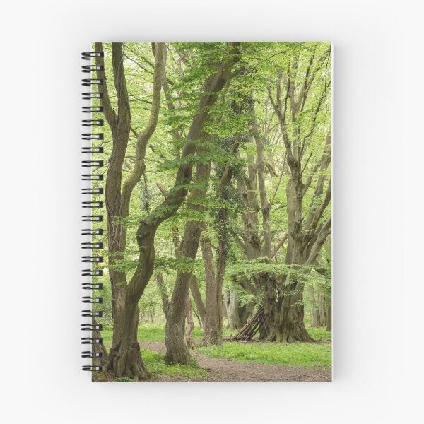 Item preview, Hatfield Forest spry trees (narrow leafed lime) designed and sold by ccullen222.