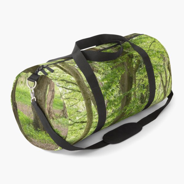 Item preview, Hatfield Forest spry trees (narrow leafed lime) designed and sold by ccullen222.