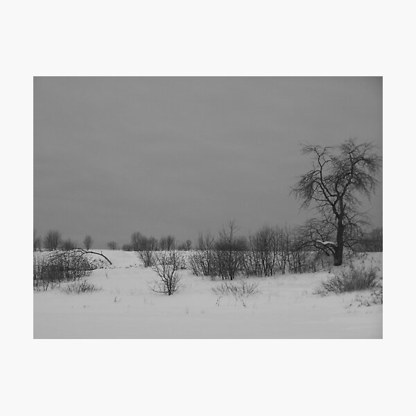 Item preview, Bare Winter designed and sold by Gene Cyr.