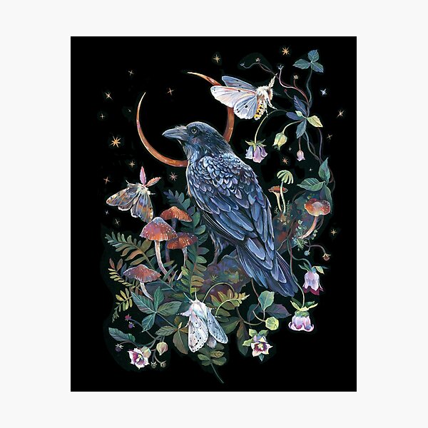 Moon Raven Photographic Print