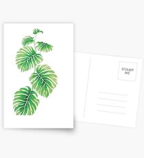 Leaves Postcards