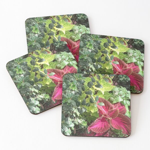 Item preview, COLEUS WIZARD designed and sold by PCCARES.