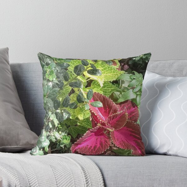 Item preview, COLEUS WIZARD designed and sold by PCCARES.