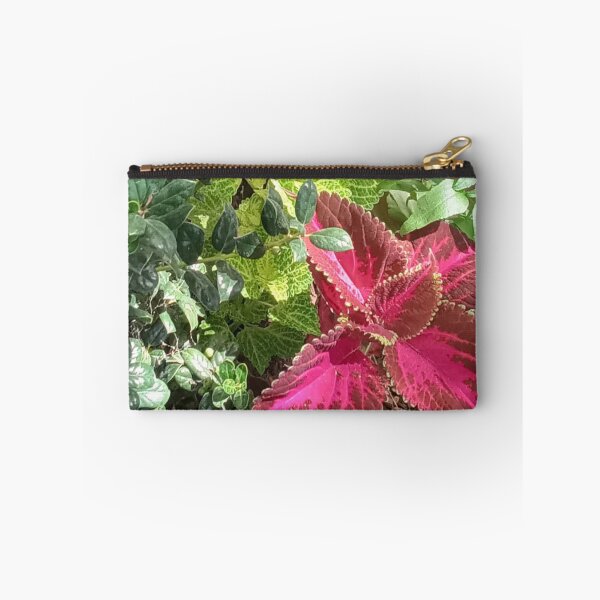 Item preview, COLEUS WIZARD designed and sold by PCCARES.