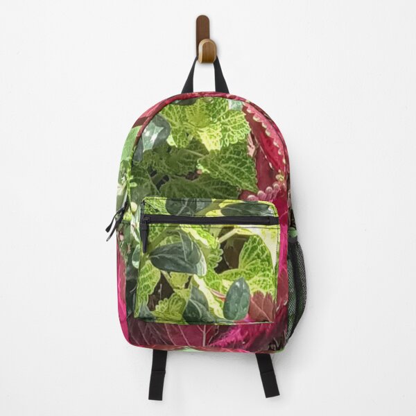 Item preview, COLEUS WIZARD designed and sold by PCCARES.