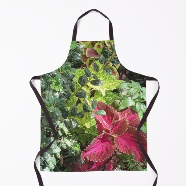 Item preview, COLEUS WIZARD designed and sold by PCCARES.