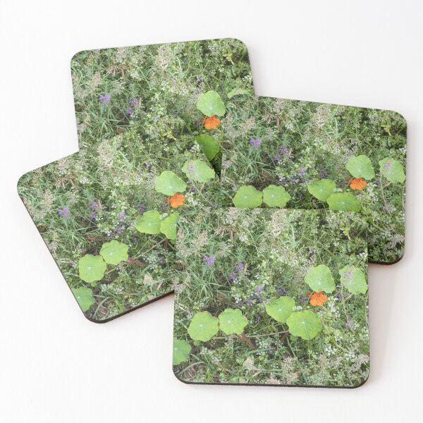 Item preview, Beneath a eucalyptus forest designed and sold by ccullen222.