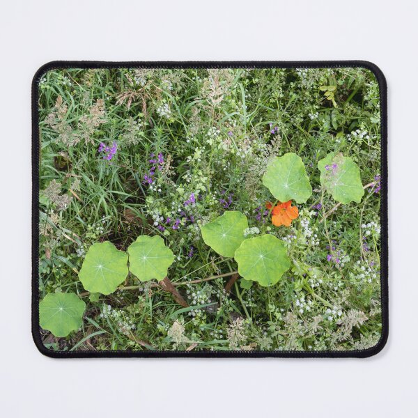 Item preview, Beneath a eucalyptus forest designed and sold by ccullen222.