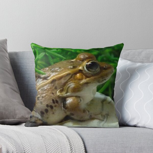 Item preview, Florida Leopard Frog designed and sold by richardbryce.