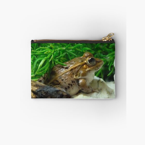 Item preview, Florida Leopard Frog designed and sold by richardbryce.