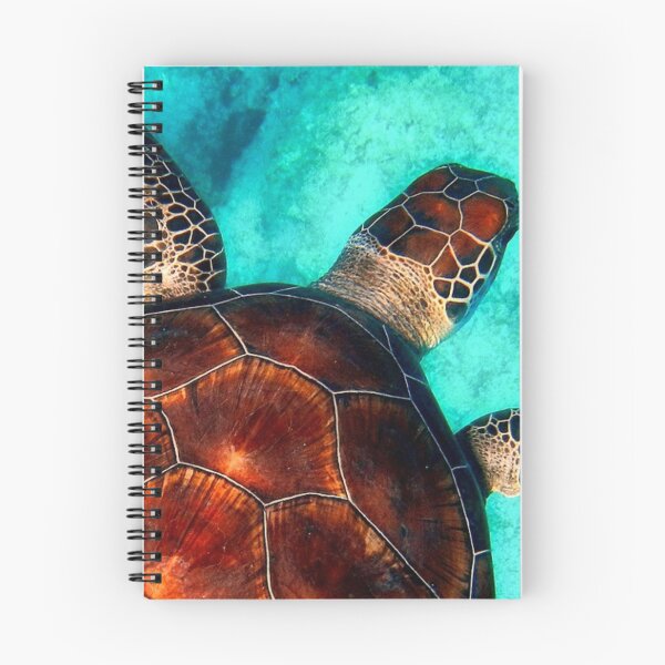 Aperçu de l'œuvre Conception de texture de tortue créée et vendue par ExactCreations.