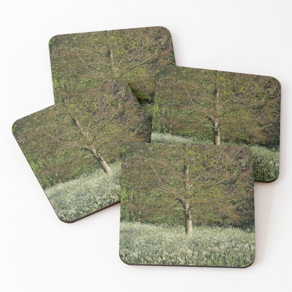 Item preview, Meadow Light designed and sold by ccullen222.