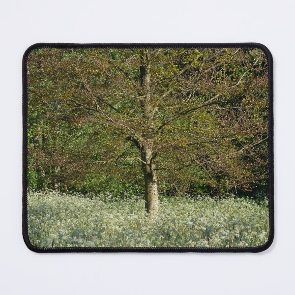 Item preview, Meadow Light designed and sold by ccullen222.