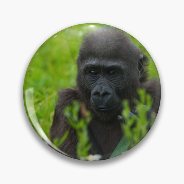 Item preview, Gorilla Baby Hiding In The Grass designed and sold by rawshutterbug.