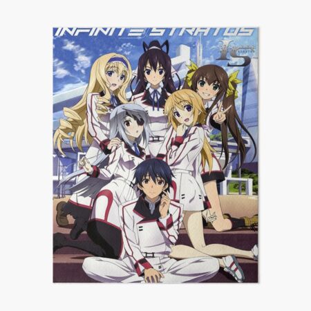 Infinite Stratos 1 Art Board Print for Sale by Dylan5341