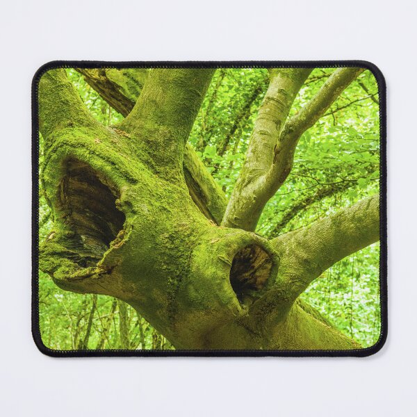 Item preview, The Bellowing Stag Tree South Wales designed and sold by Cameranick.