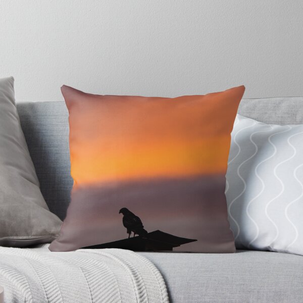 Artikelvorschau, Falke auf einem Vogelhaus bei Sonnenuntergang entworfen und verkauft von gerardofm4.