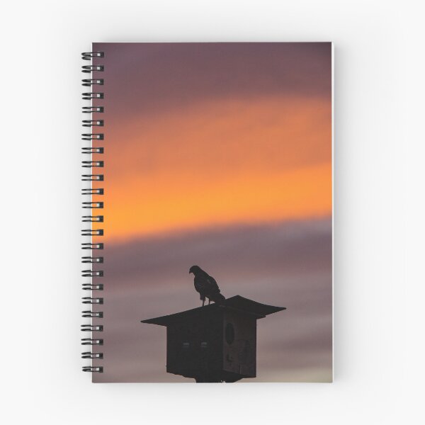 Item preview, Hawk on a birdhouse at sunset designed and sold by gerardofm4.