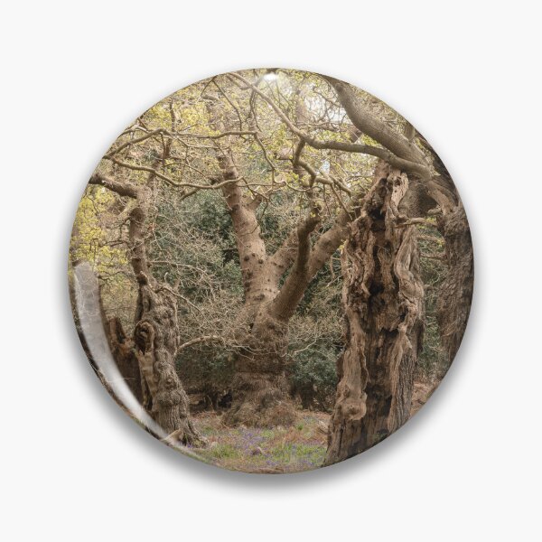Item preview, Ancient woodland designed and sold by ccullen222.