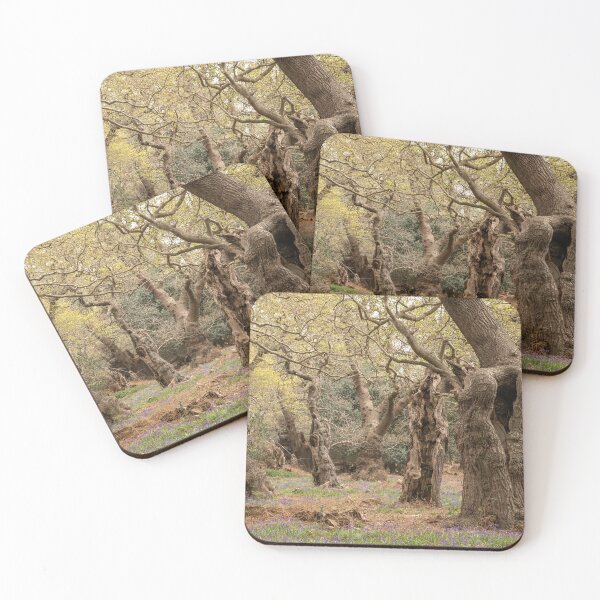 Item preview, Ancient woodland designed and sold by ccullen222.