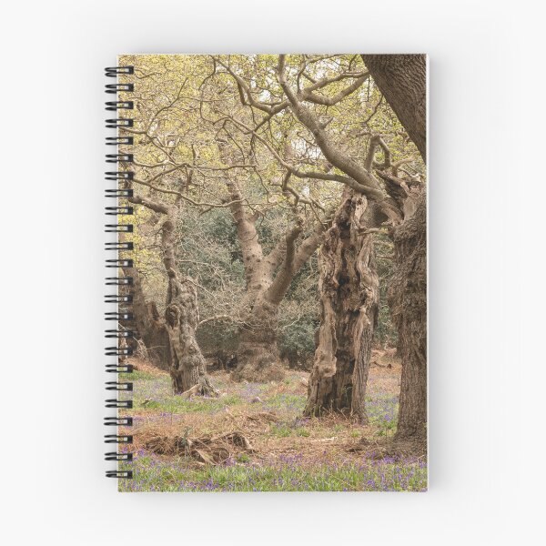 Item preview, Ancient woodland designed and sold by ccullen222.