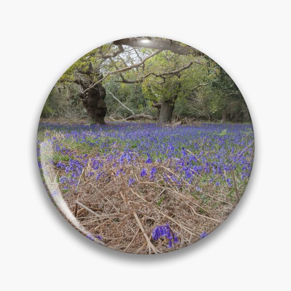 Item preview, Ancient woodland designed and sold by ccullen222.