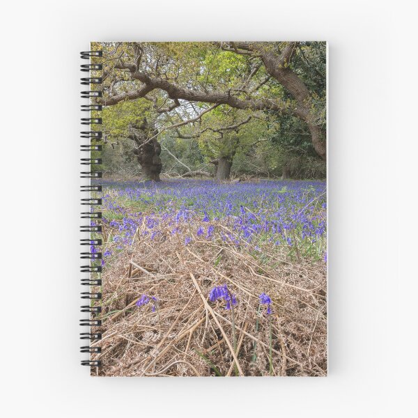 Item preview, Ancient woodland designed and sold by ccullen222.