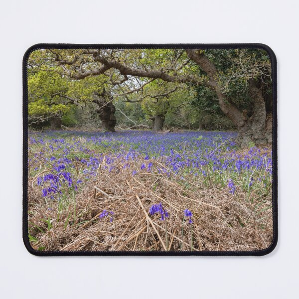 Item preview, Ancient woodland designed and sold by ccullen222.