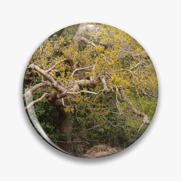Item preview, Ancient woodland designed and sold by ccullen222.