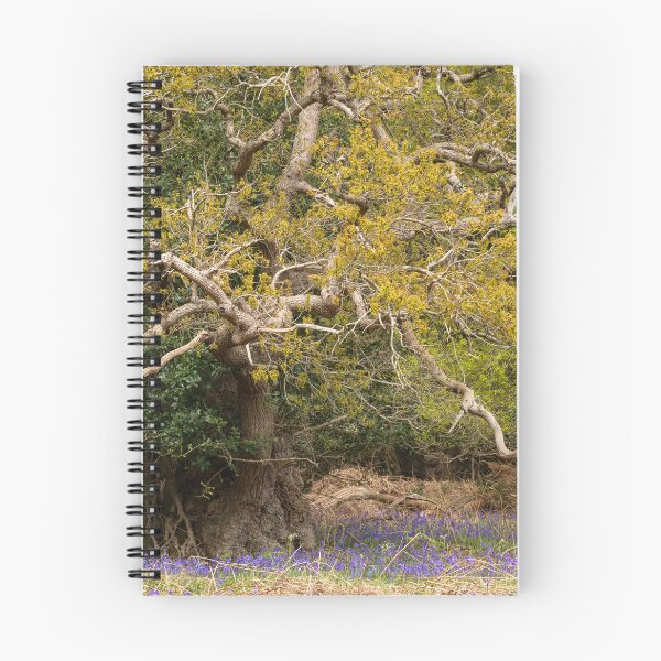 Item preview, Ancient woodland designed and sold by ccullen222.