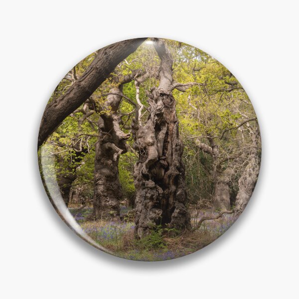 Item preview, Ancient woodland designed and sold by ccullen222.