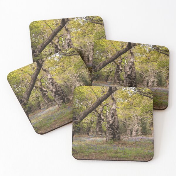 Item preview, Ancient woodland designed and sold by ccullen222.
