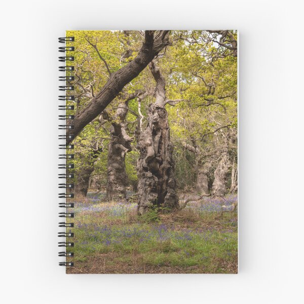 Item preview, Ancient woodland designed and sold by ccullen222.