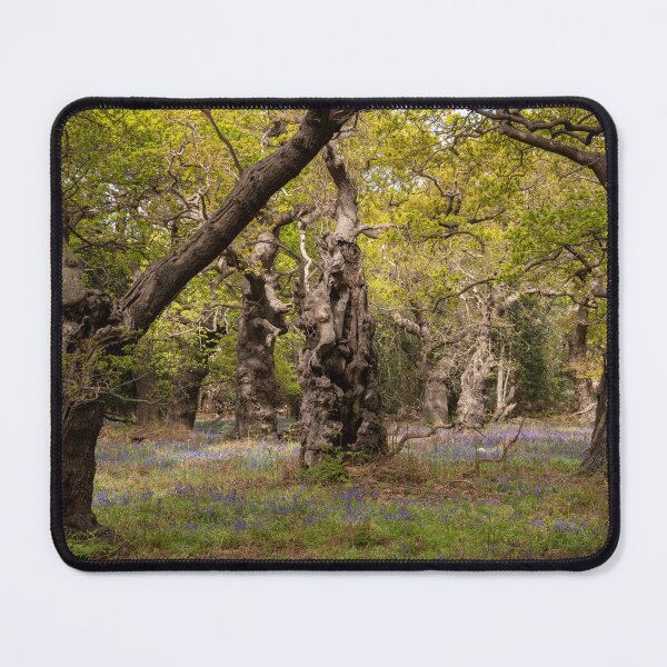 Item preview, Ancient woodland designed and sold by ccullen222.