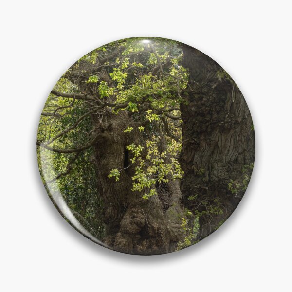 Item preview, Ancient woodland designed and sold by ccullen222.